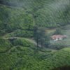 3 Day and 2 night Munnar tour package