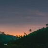 5 Day and 4 night Munnar, Thekkady, Alleppey Houseboat package