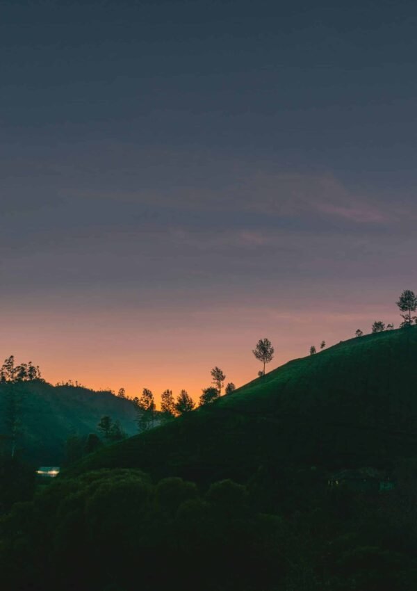 5 Day and 4 night Munnar, Thekkady, Alleppey Houseboat package
