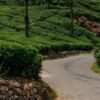 Mankulam 2 Night Package (Munnar & Mankulam Sightseeing)