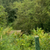 Vattavada 1 Night Camping Stay Package