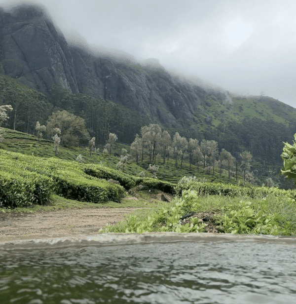 Attukad Waterfalls Route2 Munnar 1 Night Package With Jeep Safari, Campfire and Grill | Family Package