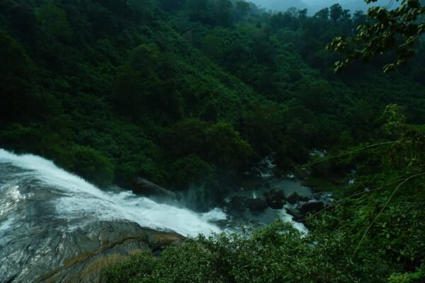 Mankulam 1 Night Package with Jeep Safari.