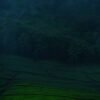 Mankulam 1 Night Package with Jeep Safari.