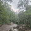 Mamalakandam 1 Night Tour Package with Jeep Safari