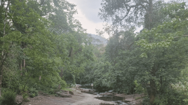 Mamalakandam 1 Night Tour Package with Jeep Safari