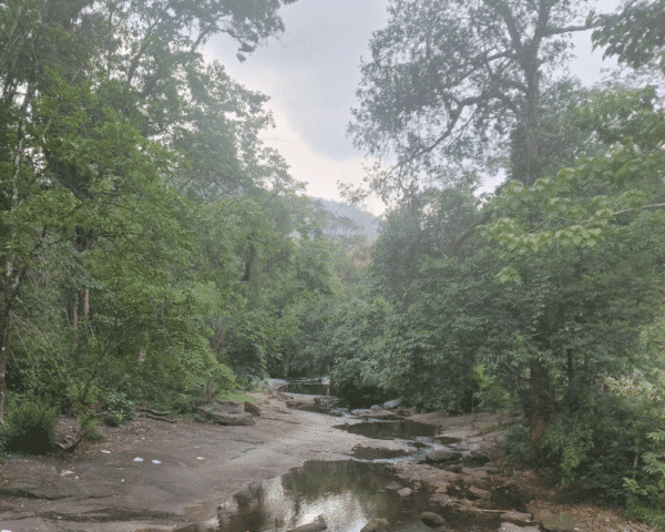 Mamalakandam 1 Night Tour Package with Jeep Safari