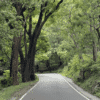 Marayoor 1 Night Package