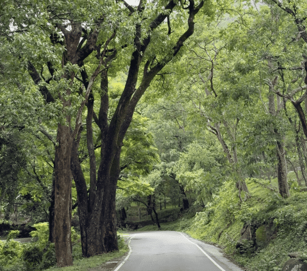 Marayoor route2 Munnar 1 Night Package With Jeep Safari, Campfire and Grill | Family Package