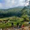 Family Camping Stay In Vattavada