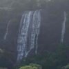 3 Bedroom farm stay in Mankulam