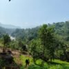 Marayoor Budget Camping in Forest