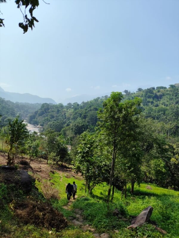 Marayoor Budget Camping in Forest