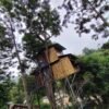Marayoor Budget Camping in Forest