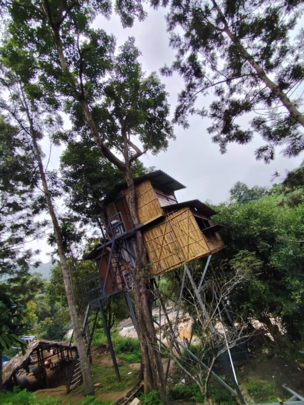 Marayoor Budget Camping in Forest