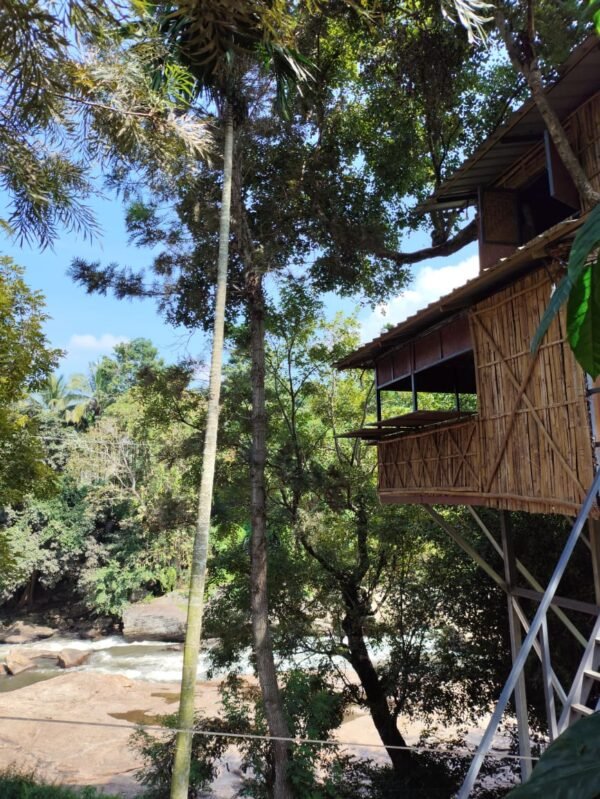 Marayoor Budget Camping in Forest