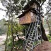 Marayoor Budget Camping in Forest