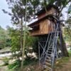Marayoor Budget Camping in Forest