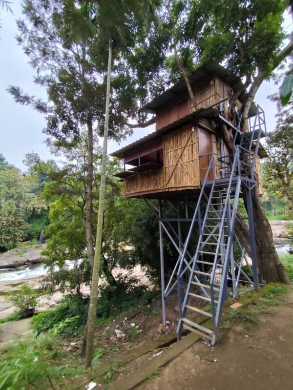 Marayoor Budget Camping in Forest