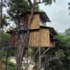 Marayoor Budget Camping in Forest