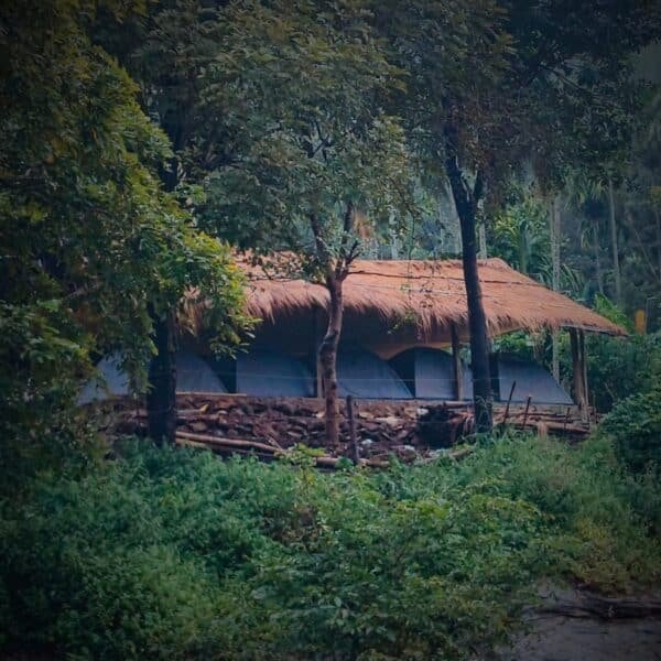 Marayoor Budget Camping in Forest