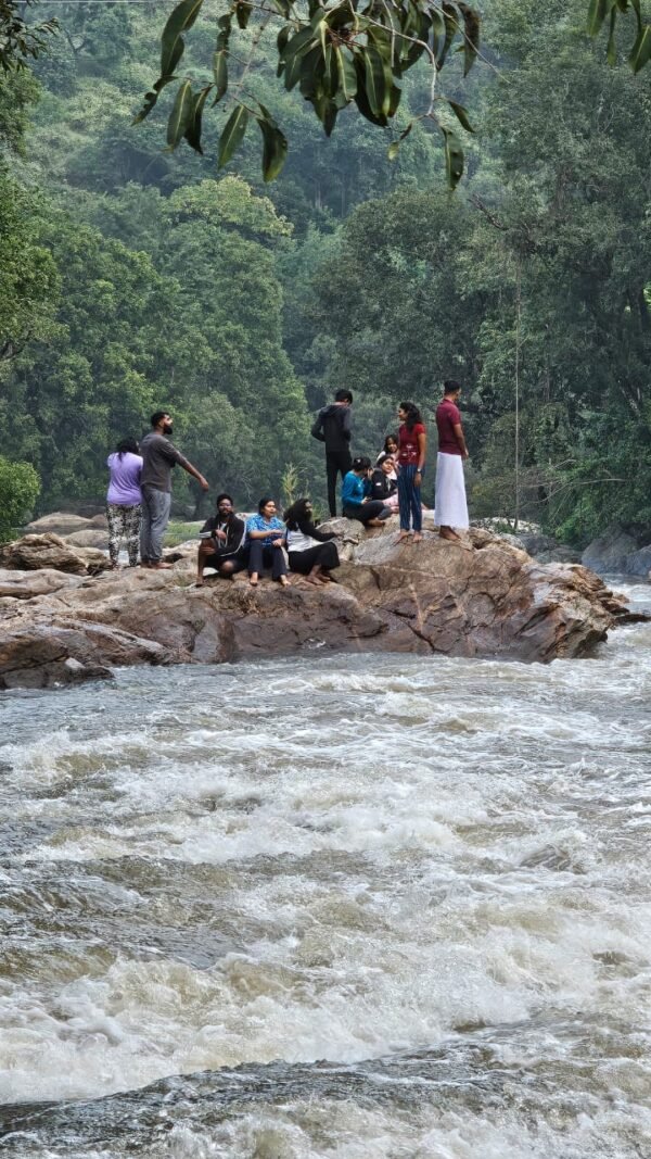 Marayoor Budget Camping in Forest