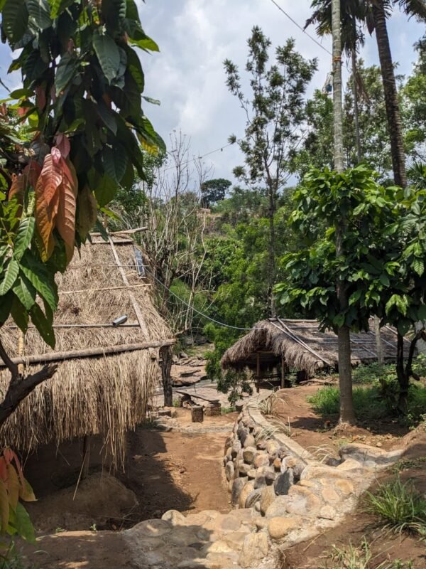 Marayoor Budget Camping in Forest