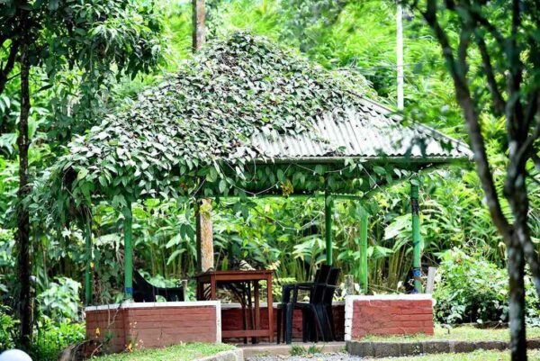 Munnar Family Pool Stay