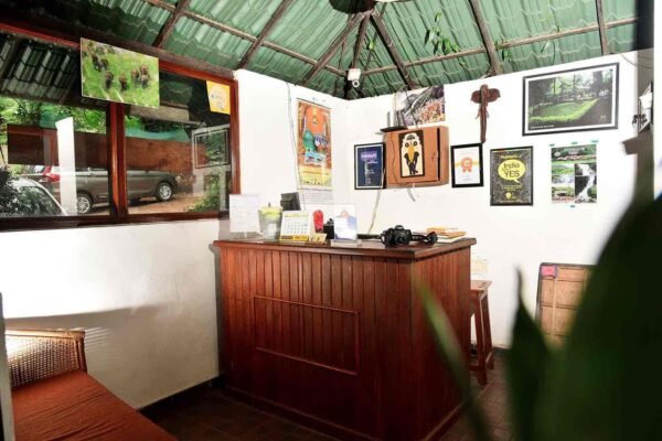 Munnar Family Pool Stay