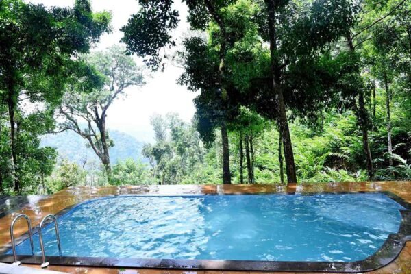 Munnar Family Pool Stay