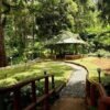 Munnar Family Pool Stay