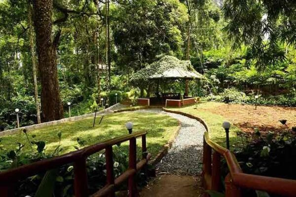 Munnar Family Pool Stay