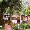 Munnar Family Pool Stay
