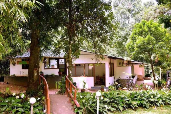 Munnar Family Pool Stay