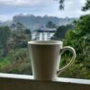 Munnar Ice Pellets Resort