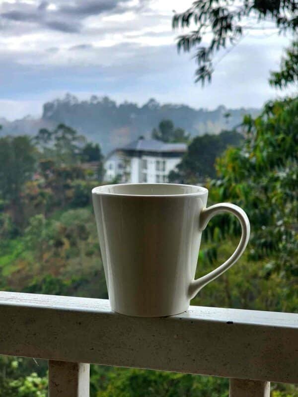 Munnar Ice Pellets Resort