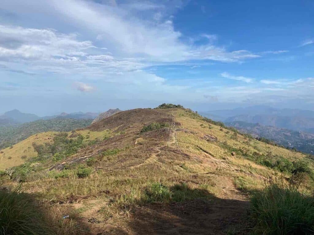Palkulammedu