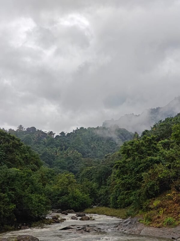 2 bedroom Cottage Mankulam - The Serene Cottage
