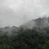 2 bedroom Cottage Mankulam - The Serene Cottage