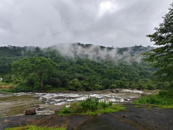 2 bedroom Cottage Mankulam - The Serene Cottage