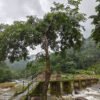 2 bedroom Cottage Mankulam - The Serene Cottage