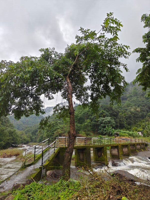 2 bedroom Cottage Mankulam - The Serene Cottage
