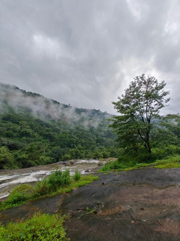 2 bedroom Cottage Mankulam - The Serene Cottage