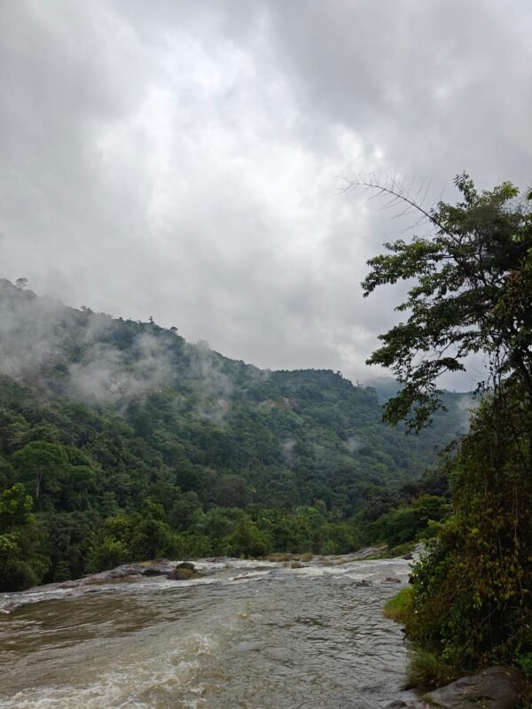 2 bedroom Cottage Mankulam - The Serene Cottage