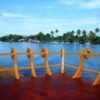 1 Bedroom Traditonal Alleppey Boathouse
