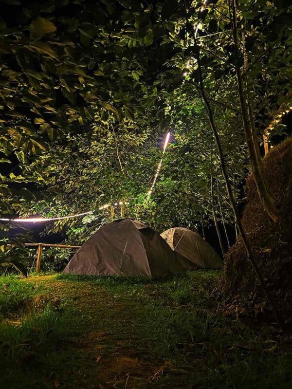 Vattavada tent camping