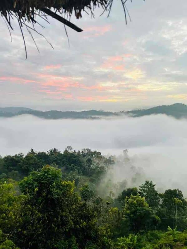 Palkulam Heights Resort Idukki