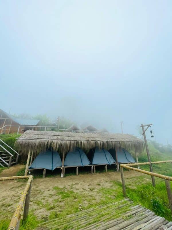 Wild Bloom Vattavada Tent Camping