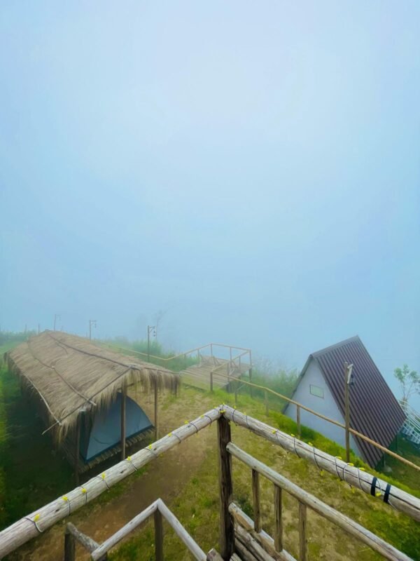 Wild Bloom Vattavada Tent Camping