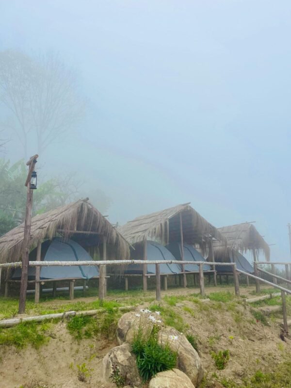 Wild Bloom Vattavada Tent Camping